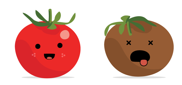 Um tomate foi atravessar a rua com outro tomate e gritou
