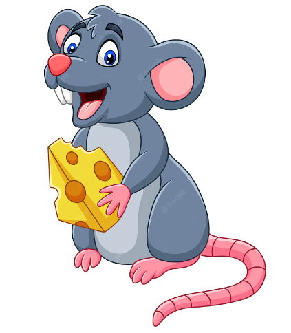 ratinho comendo queijo